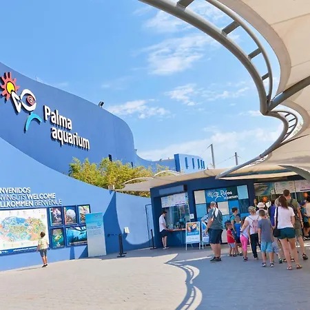 Vila Llinya 7 El Arenal (Mallorca)